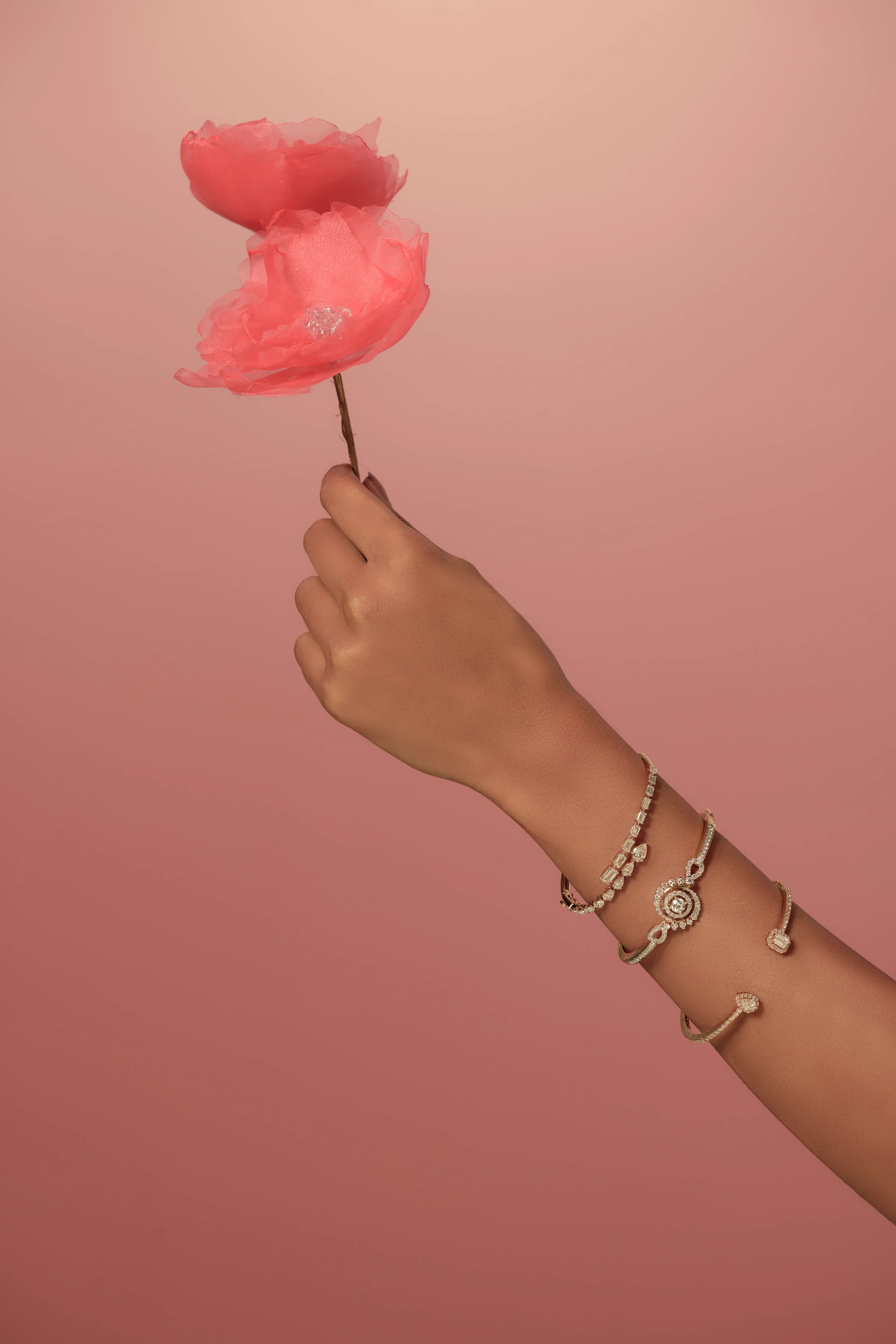 Evol Jewels product and visual storytelling